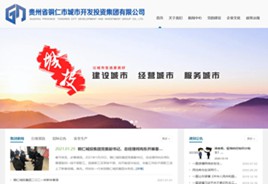 奉贤城市开发投资集团有限公司