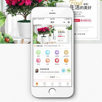 奉贤门店微商城小程序开发