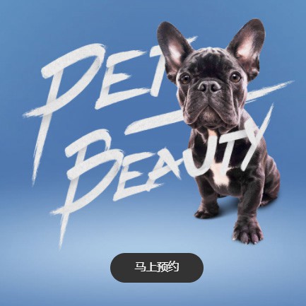 奉贤宠物中心小程序开发